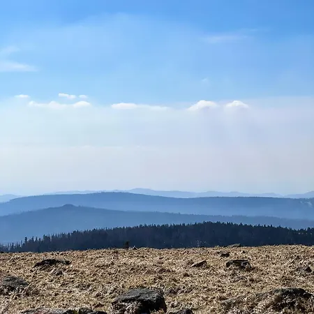 Rehberg 14 Og Panorama Balkon Pool Sauna * Braunlage