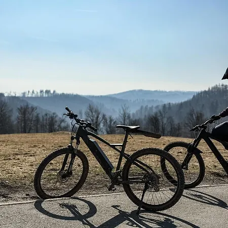 Rehberg 14 Og Panorama Balkon Pool Sauna Braunlage