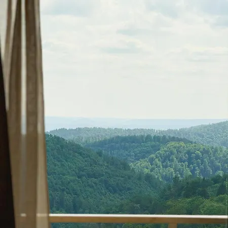Rehberg 14 Og Panorama Balkon Pool Sauna Lägenhet Braunlage