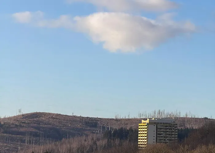 Daire Rehberg 14 Og Panorama Balkon Pool Sauna Braunlage