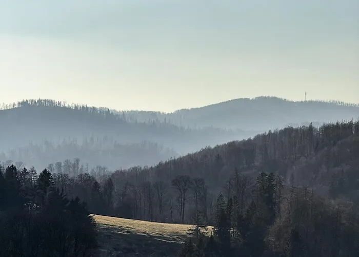 Rehberg 14 Og Panorama Balkon Pool Sauna Braunlage